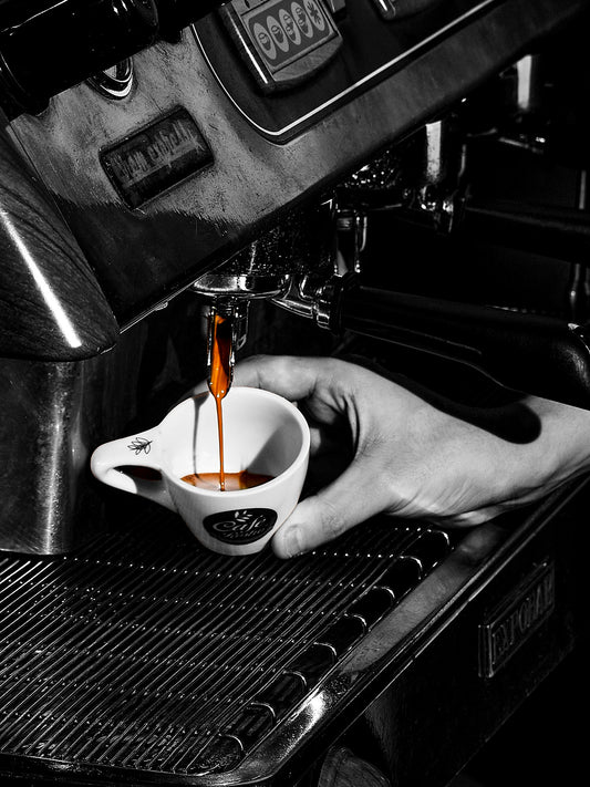BARISTA